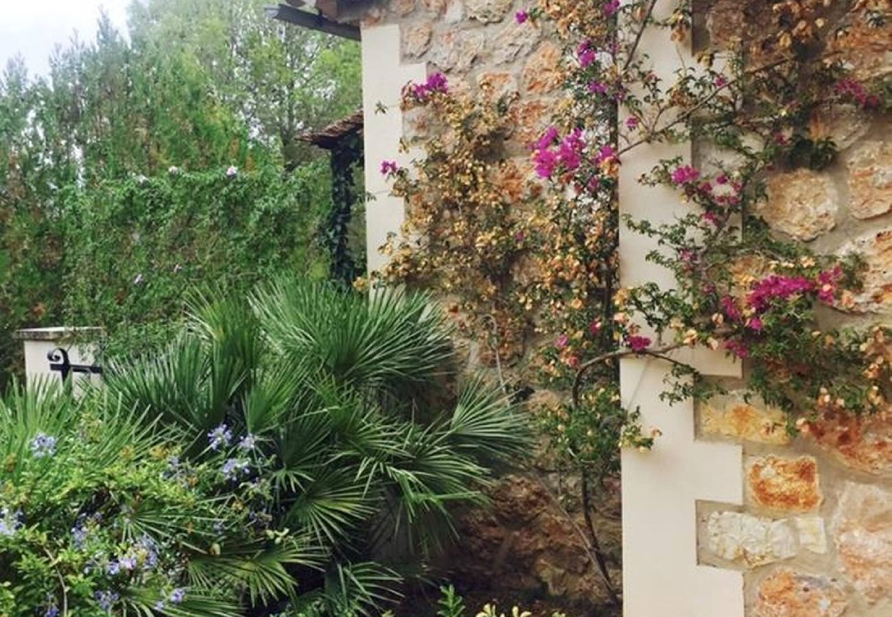 House in Puigpunyent - Ses Oliveres