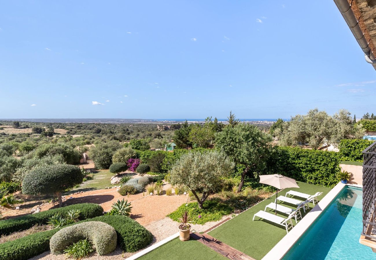 House in Portol  - Villa Portol