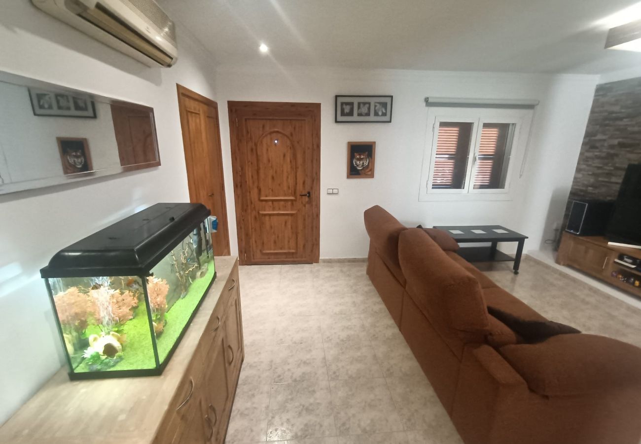 Apartment in Palma  - Casa Mestral