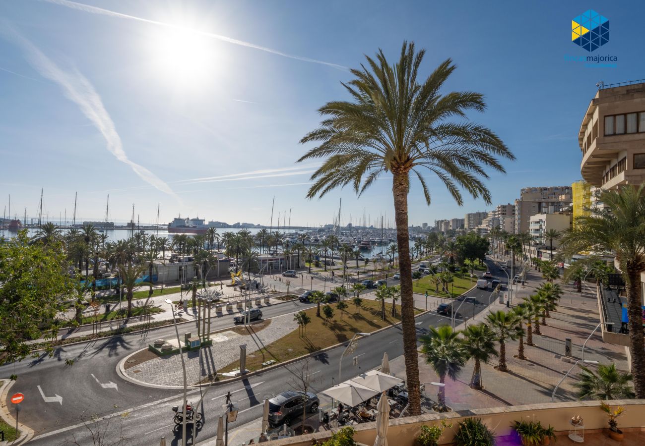 Apartment in Palma de Mallorca - Apartamento Auditorium