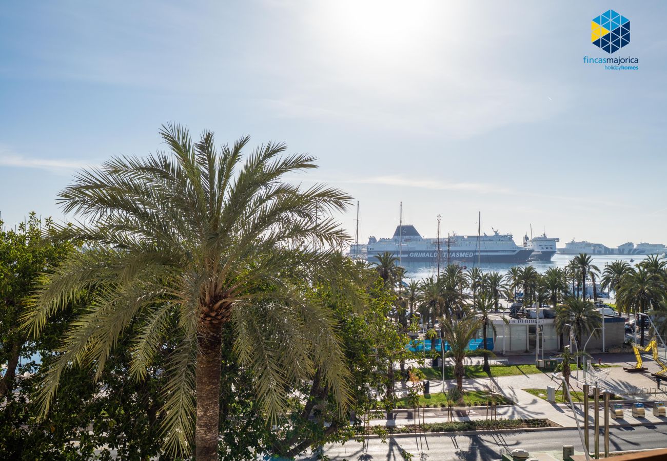 Apartment in Palma de Mallorca - Apartamento Auditorium