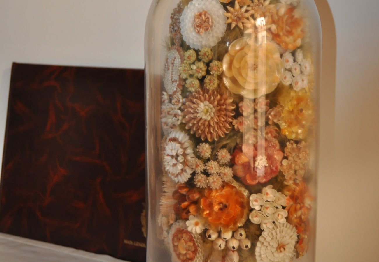 House in Llucmajor - Casa S'Arraval